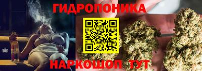 прущие крисы Заволжье