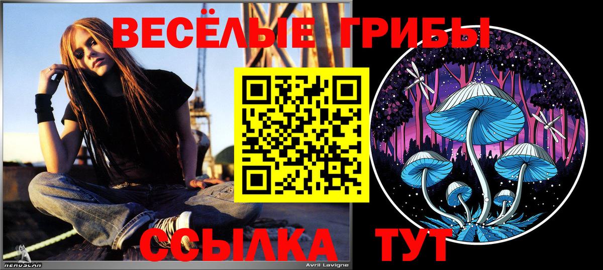 купить  сайты  Галлюциногенные грибы Psilocybine cubensis  Коряжма  Вход с VPN  Псилоцибиновые грибы GOLDEN TEACHER 